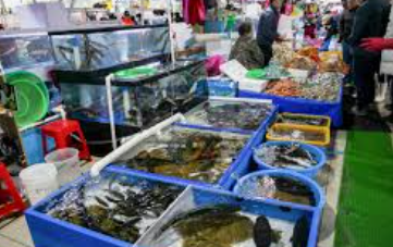 수산시장 전경31