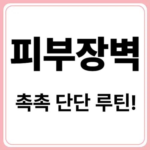 무너진 피부 장벽! 다시 세우는 방법은?