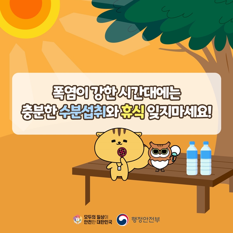 주황색에 해와 나무가 일러스트로 그려져 있고 다람쥐와 부엉이가 평상 위에 앉아 있다