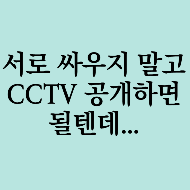 윤cctv