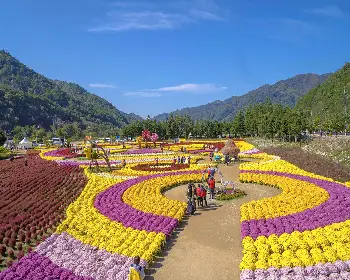 인제 가을꽃축제_26
