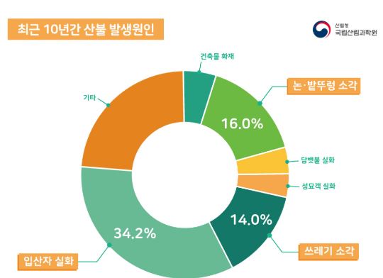 최근 10년간 산불 발생원인