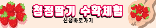 2023논산딸기축제