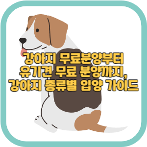 강아지 무료분양부터 유기견 무료 분양까지, 강아지 종류별 입양 가이드