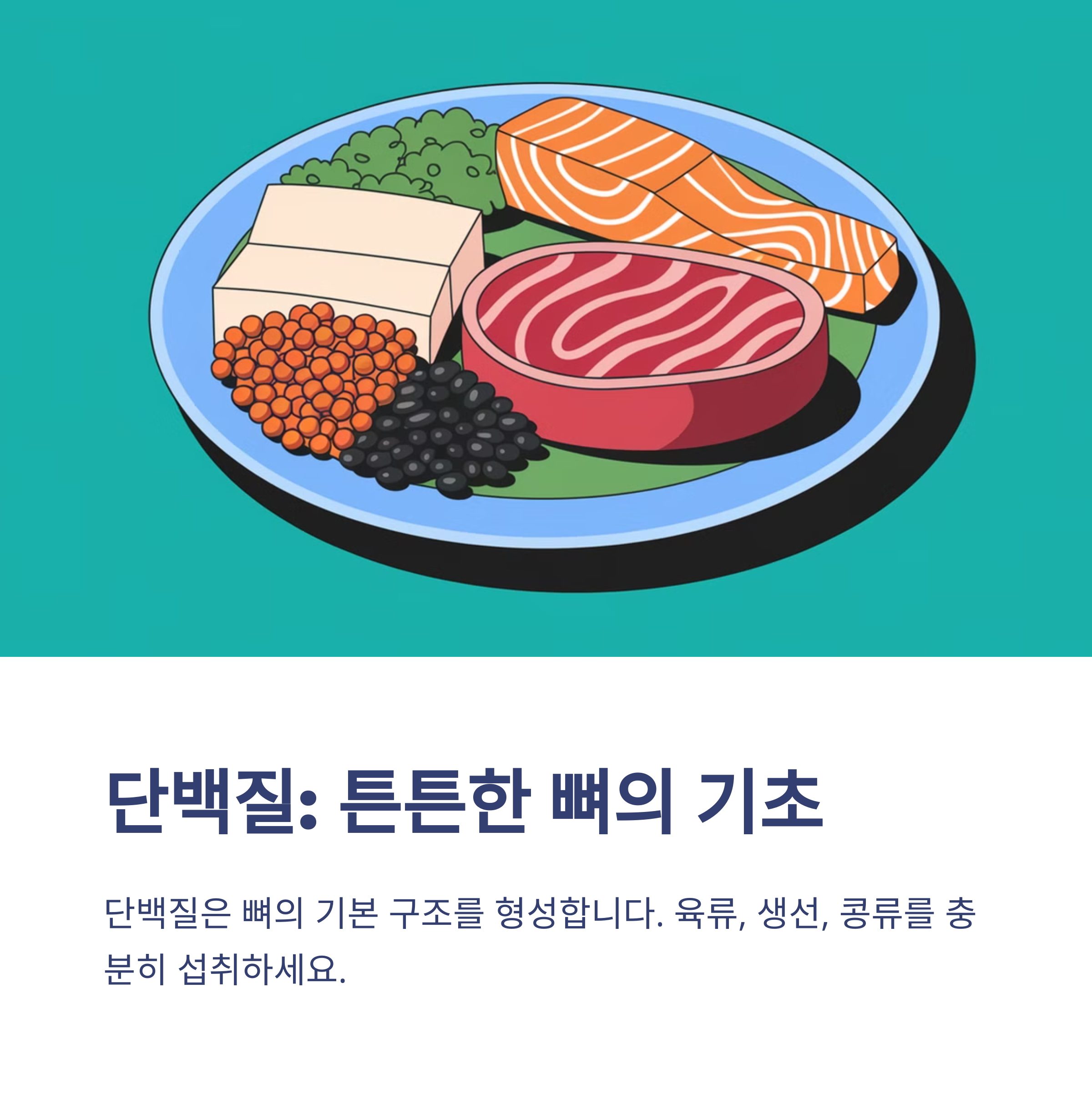칼슘만 먹으면 안 된다? 뼈 건강을 위한 필수 영양소