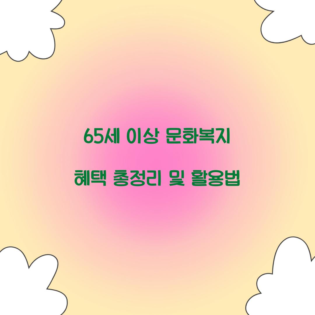 65세 이상 문화복지