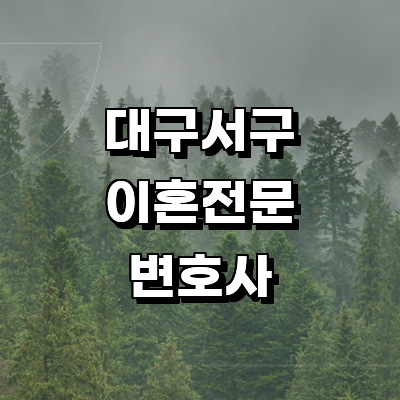 대구 서구 이혼 변호사