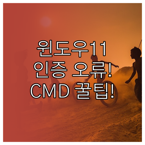 윈도우 11 정품 인증 안 될 때 C..