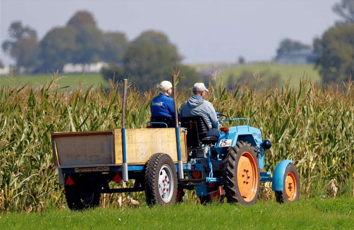 전남함평여행추천