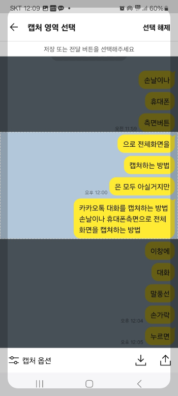 카톡 대화 내용 캡쳐