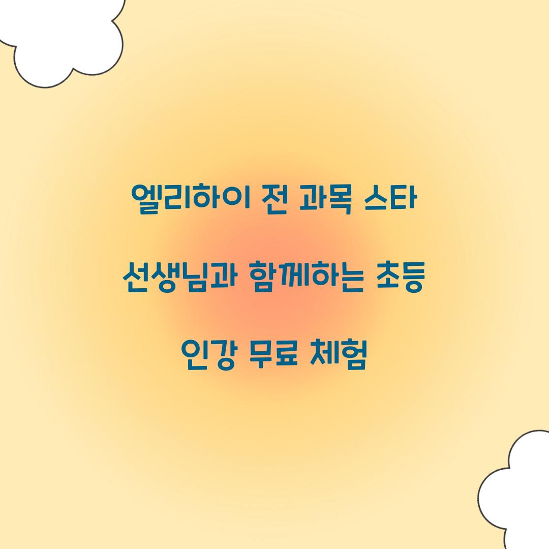 엘리하이 전 과목 스타 선생님