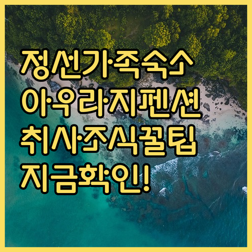 정선 가족 여행 숙소 추천 아우라지 ..