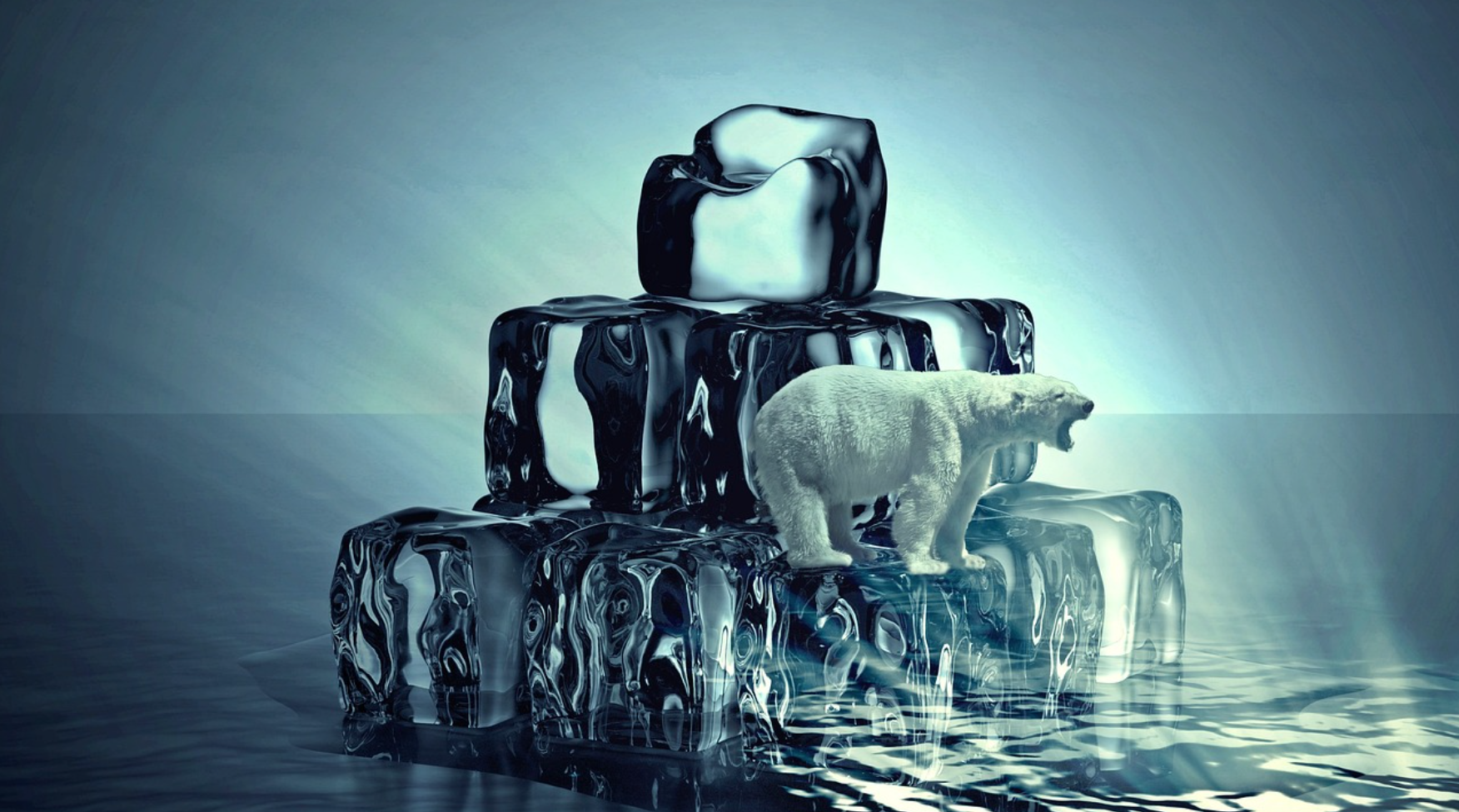 기후 위기와 신기술! 지속 가능한 미래를 만드는 친환경 직업