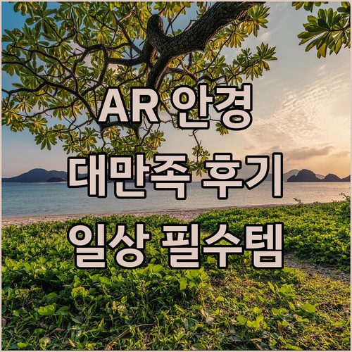 고민 끝에 구매한 TCL Rayneo..
