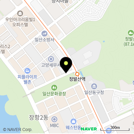 롯데백화점 일산점 주소