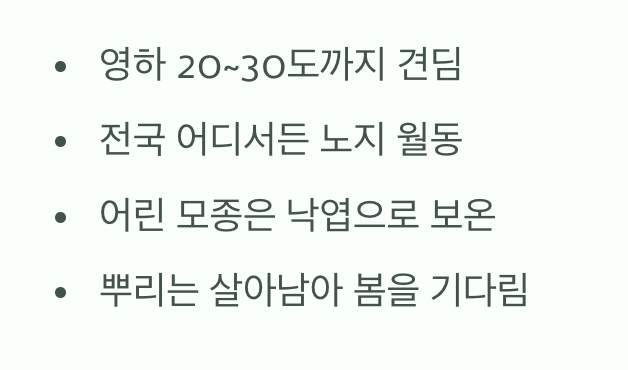 비결 5. 추운 겨울도 거뜬하게, '월동'
