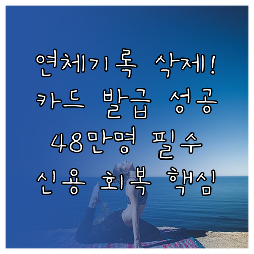 신용카드 신규 발급 노리는 48만 명..