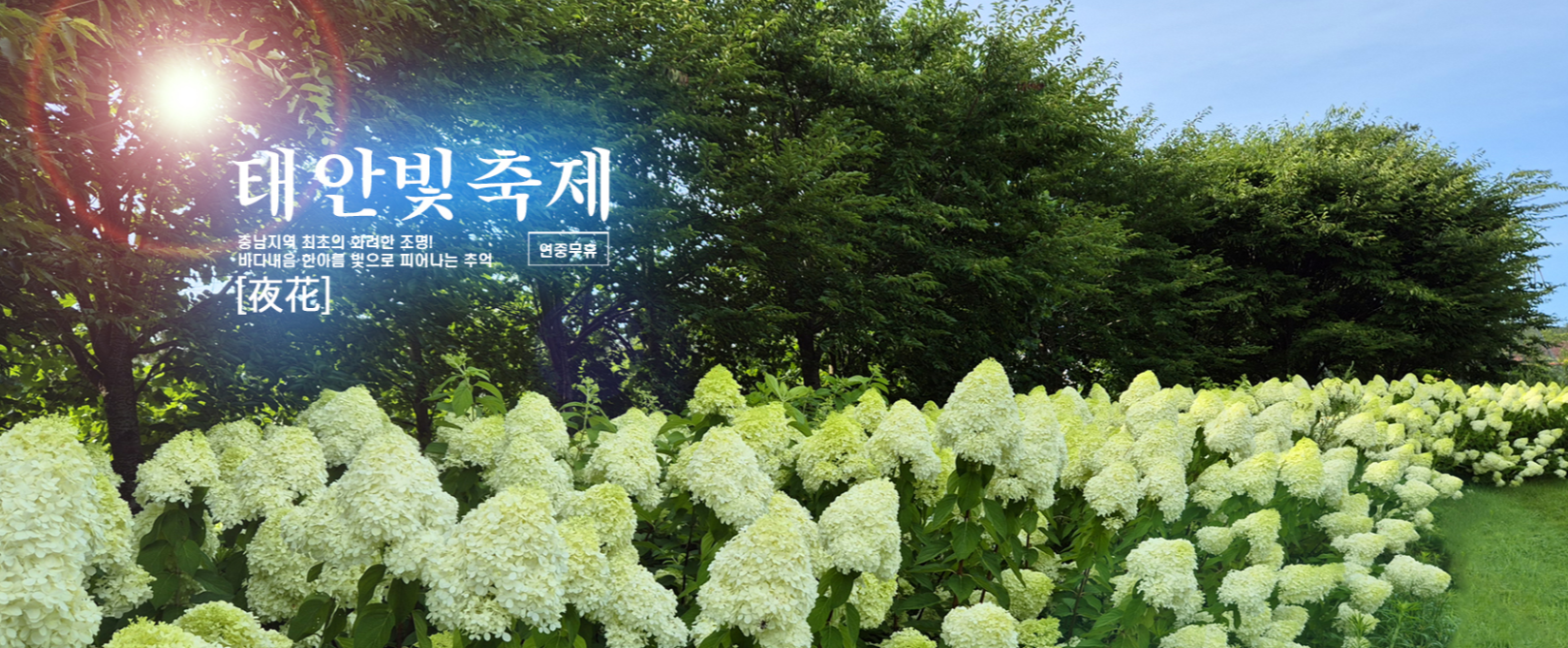 태안 빛축제 맛집 근처숙박 주차 꿀팁 총정리