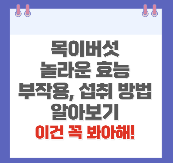 목이버섯의 효능 부작용, 먹는 방법 소개