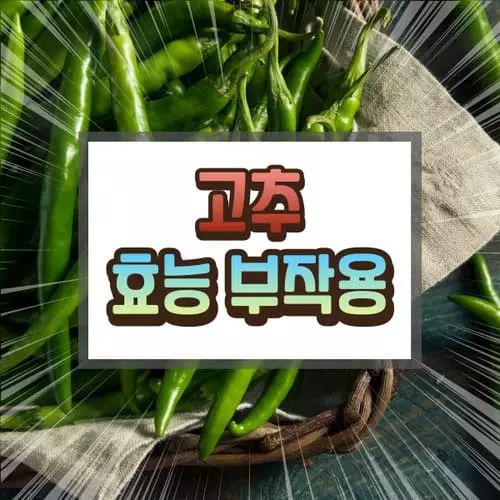 고추 효능 부작용에 대하여