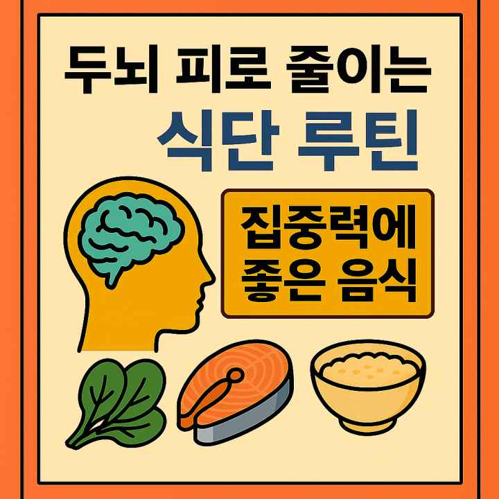 40‧50대 공부 집중력 높이는 두뇌 피로 식단 루틴 &ndash; 하루 에너지 되찾기