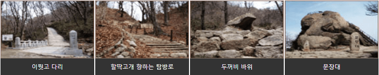 이뭣고