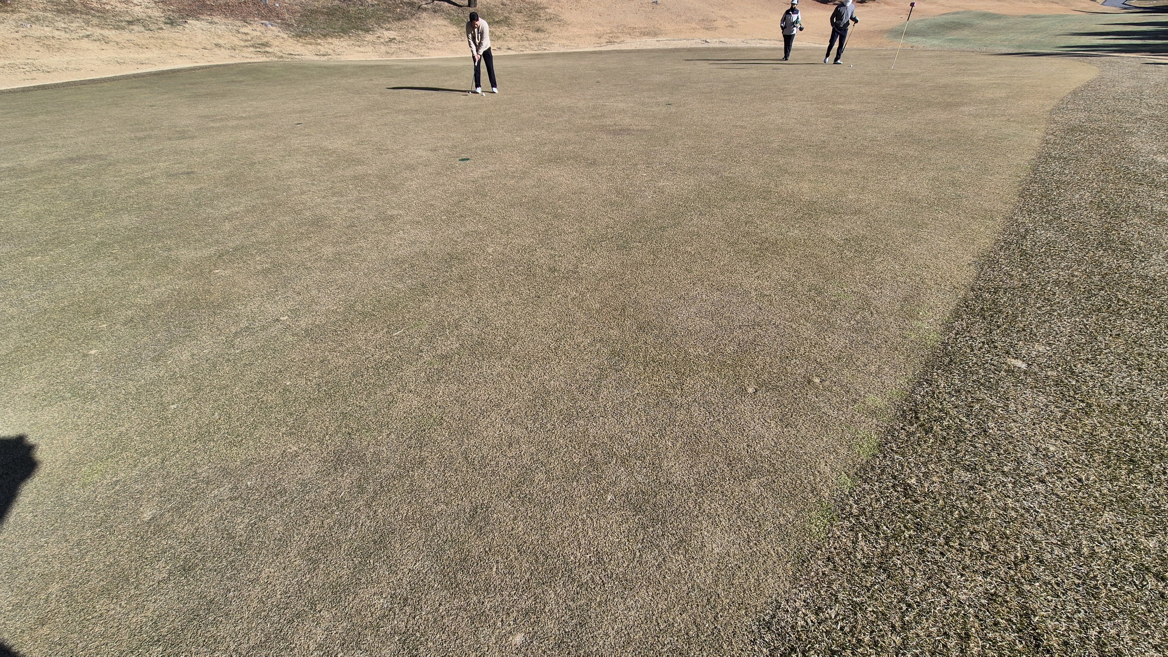 로제비앙gc 로제-비앙 코스 그린 빠르기 및 난이도