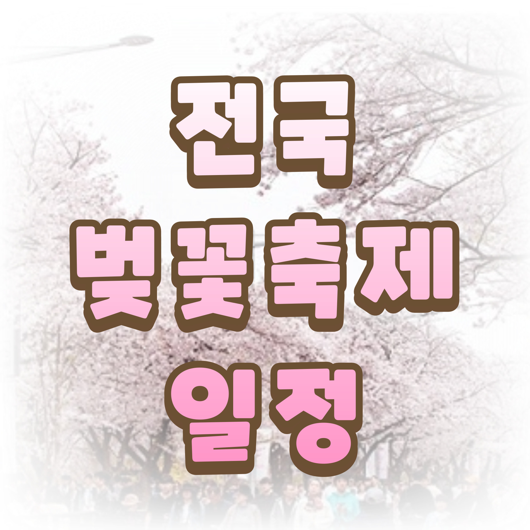 벚꽃