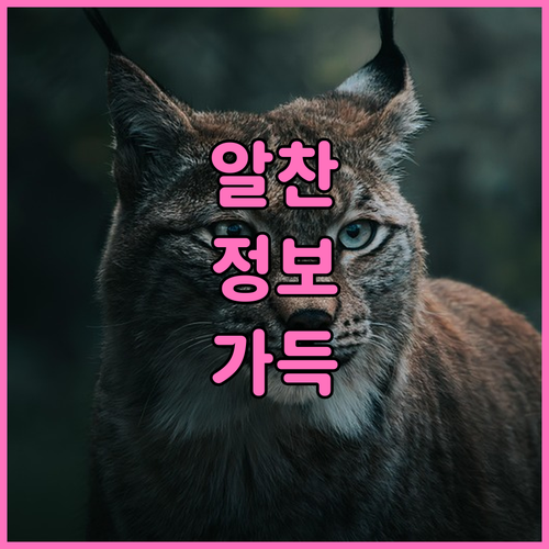 2025 경기도 동물등록 비용 지원 ..