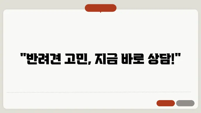 광명강아지보호소 언제나 편한상담