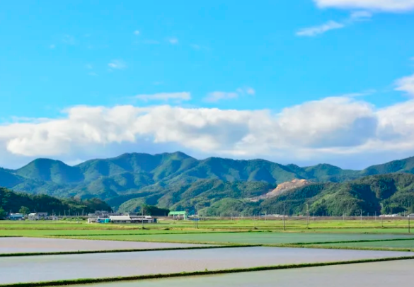 치유 일본 드라마