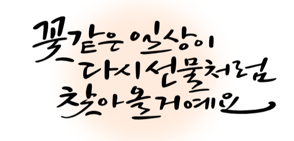 [10월 국내 여행지 꽃구경 추천] 코스모스 / 억새 / 꽃무릇 가을꽃 구경 명소 장소 추천