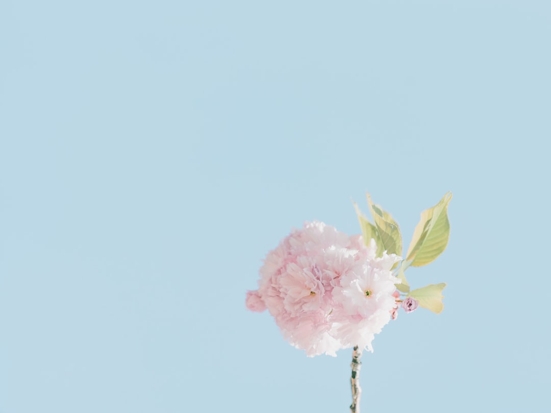 Simplification
