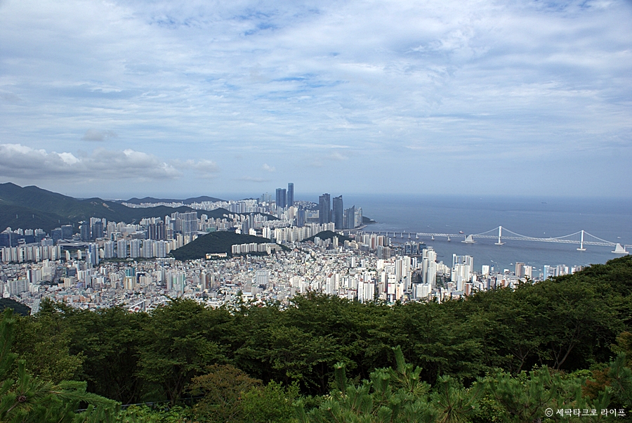 황령산구름고개카페