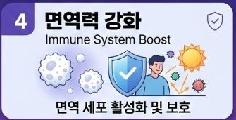 멜라토닌 효능