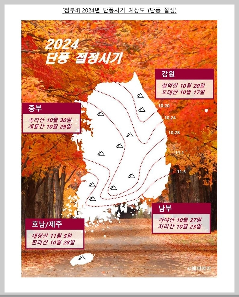 2024년 각 지역 단풍 절정시기