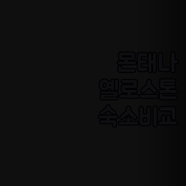몬태나 옐로스톤 근처 숙소 추천 Jo..