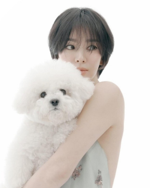 송혜교필모완벽분석,송혜교 드라마 정리,송혜교 대표작 분석,더 글로리 송혜교 연기력,송혜교 수상작품