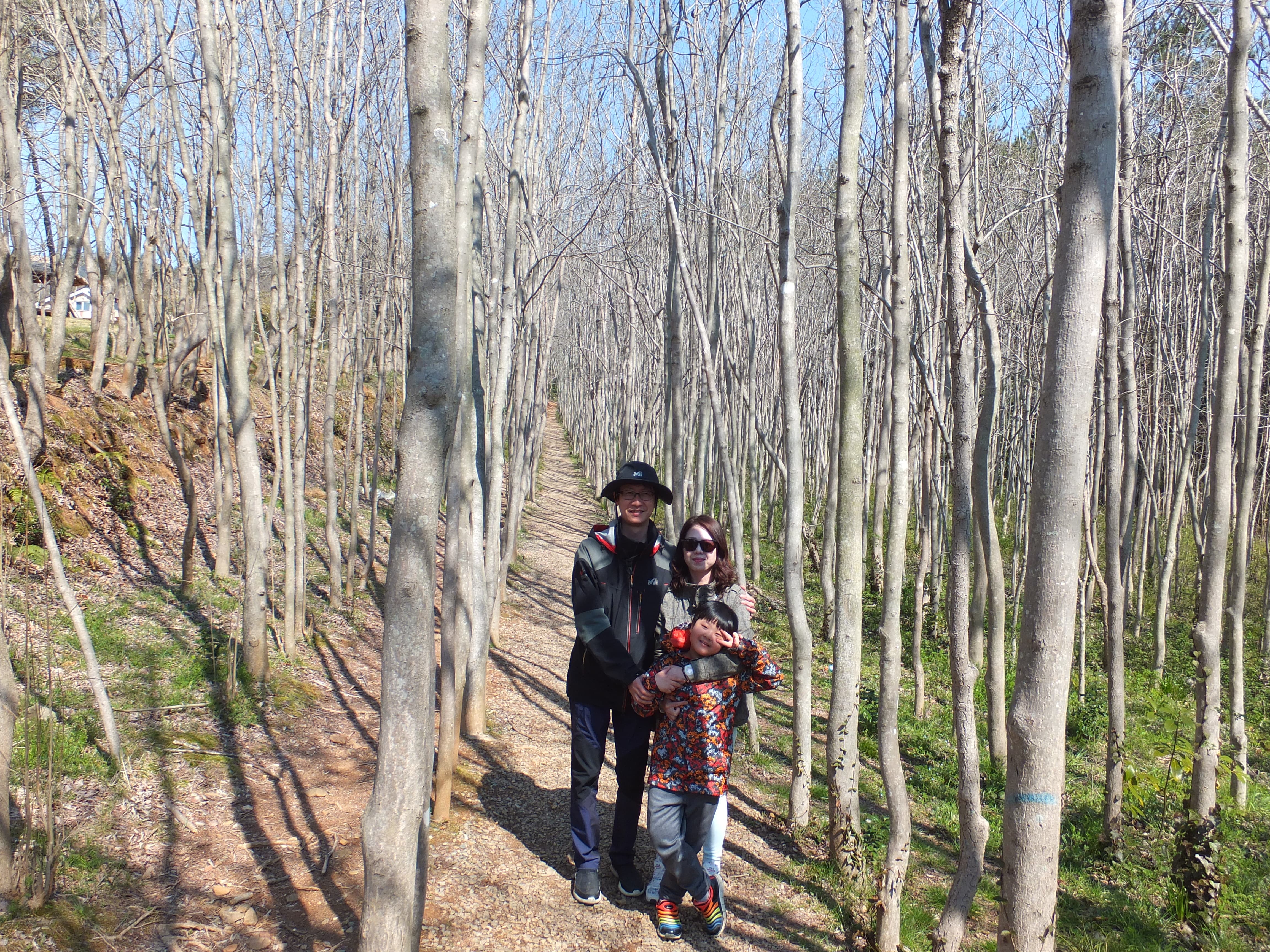 다산초당 가는 길 두충나무에서 가족사진