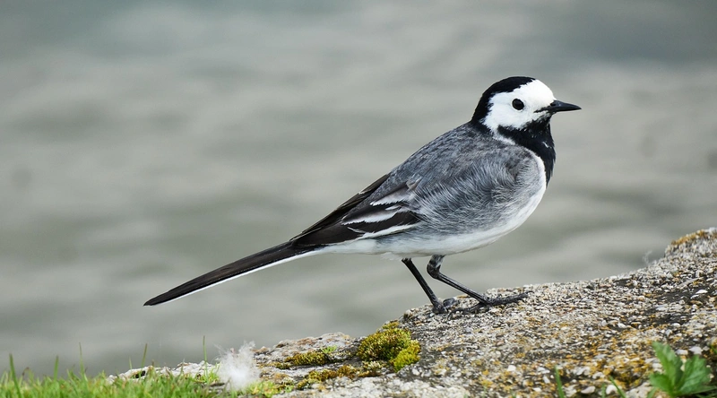 1. 공사현장의 위험 요소 이해하기