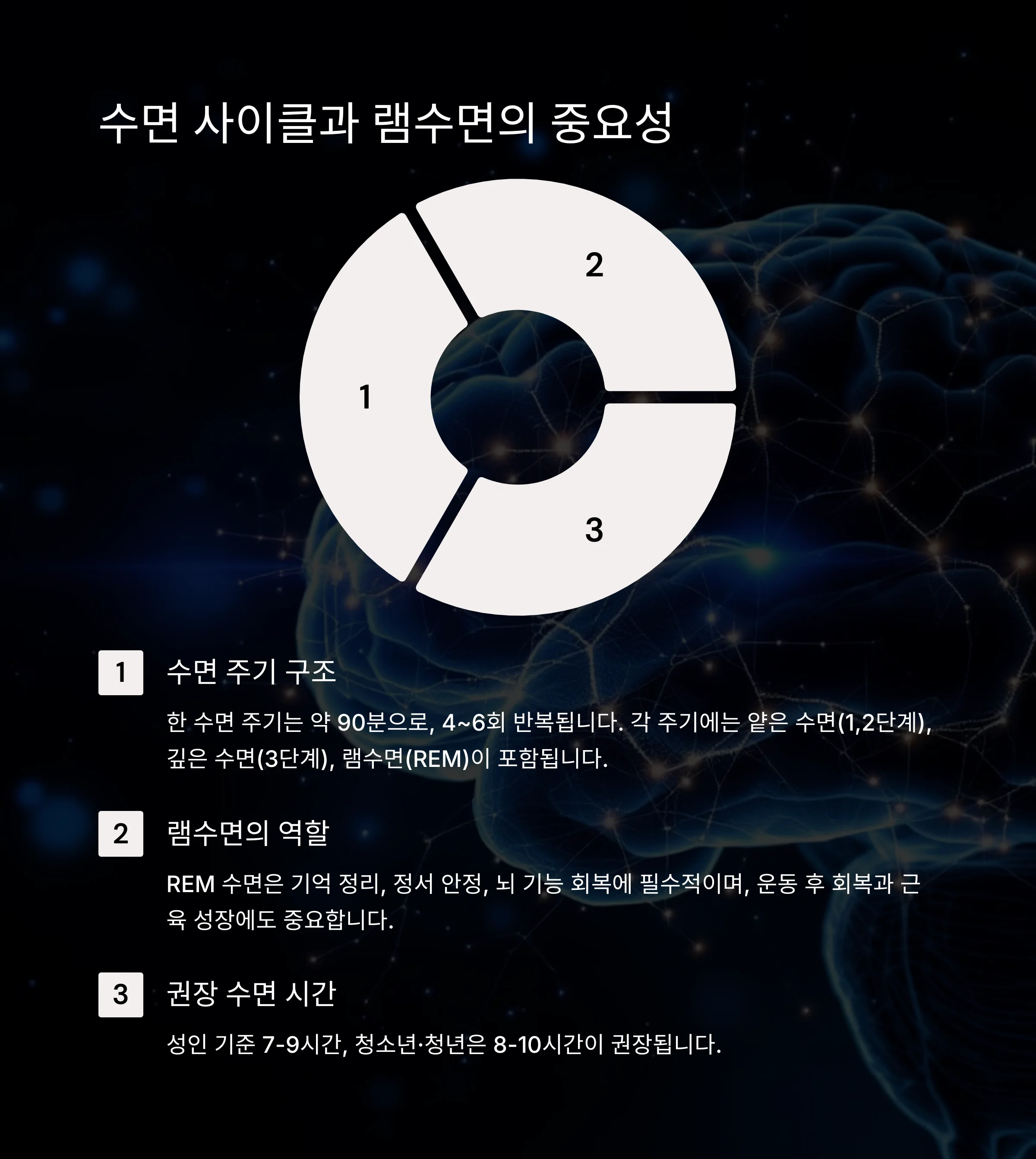 수면 사이클과 램수면(REM 수면)의 중요성