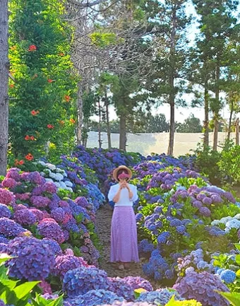 6월 제주도 아이와 함께 가볼만한곳 10곳 완벽 추천 리스트_8