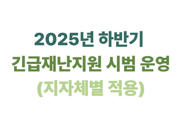 2025년 하반기 긴급재난지원 시범 운영