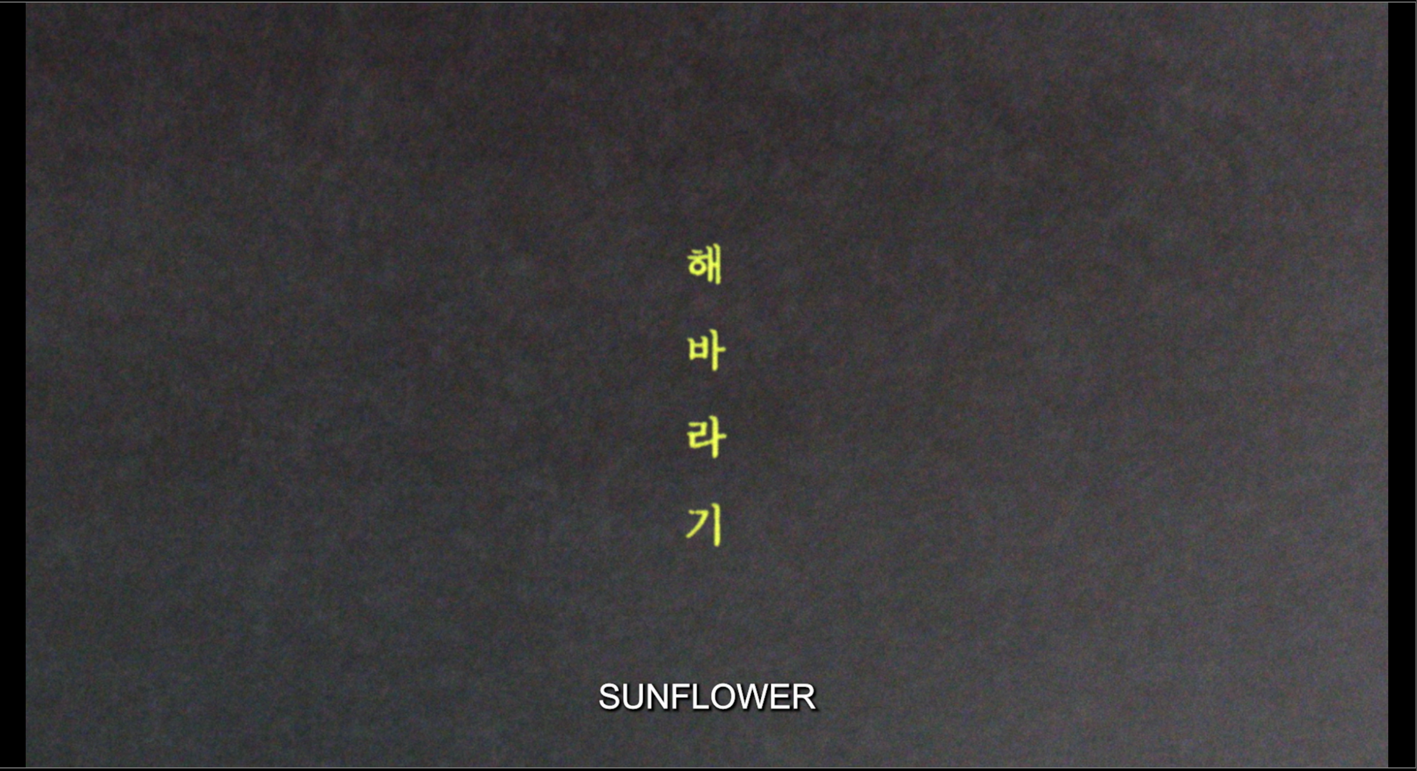SUN FLOWER_2K_DCP_제작
