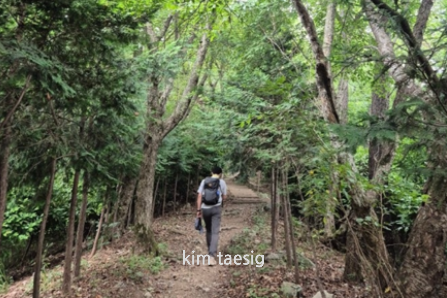 윤산을 걸어가는 사진