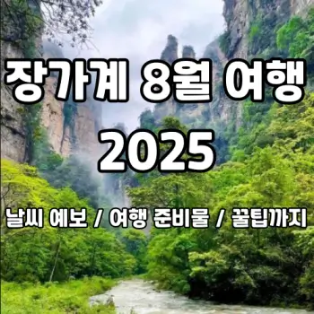 장가계-8월-날씨-여행-완벽-준비까지-2025
