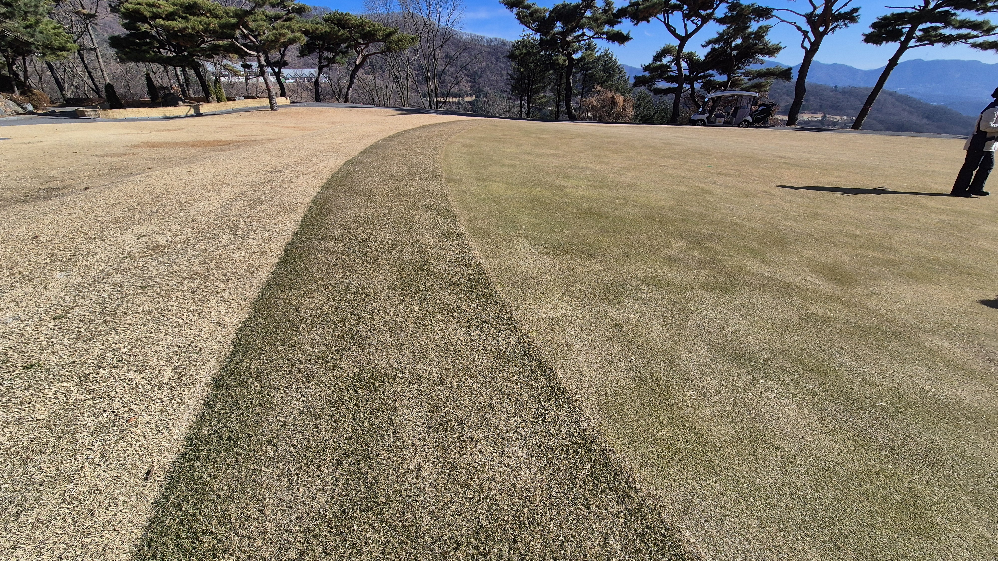 로제비앙gc 로제-비앙 코스 그린 관리 상태