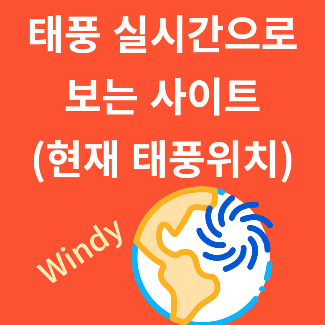태풍 실시간으로 보는 사이트(windy)-현재 태풍위치