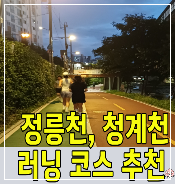 러닝코스-중랑천-청계천