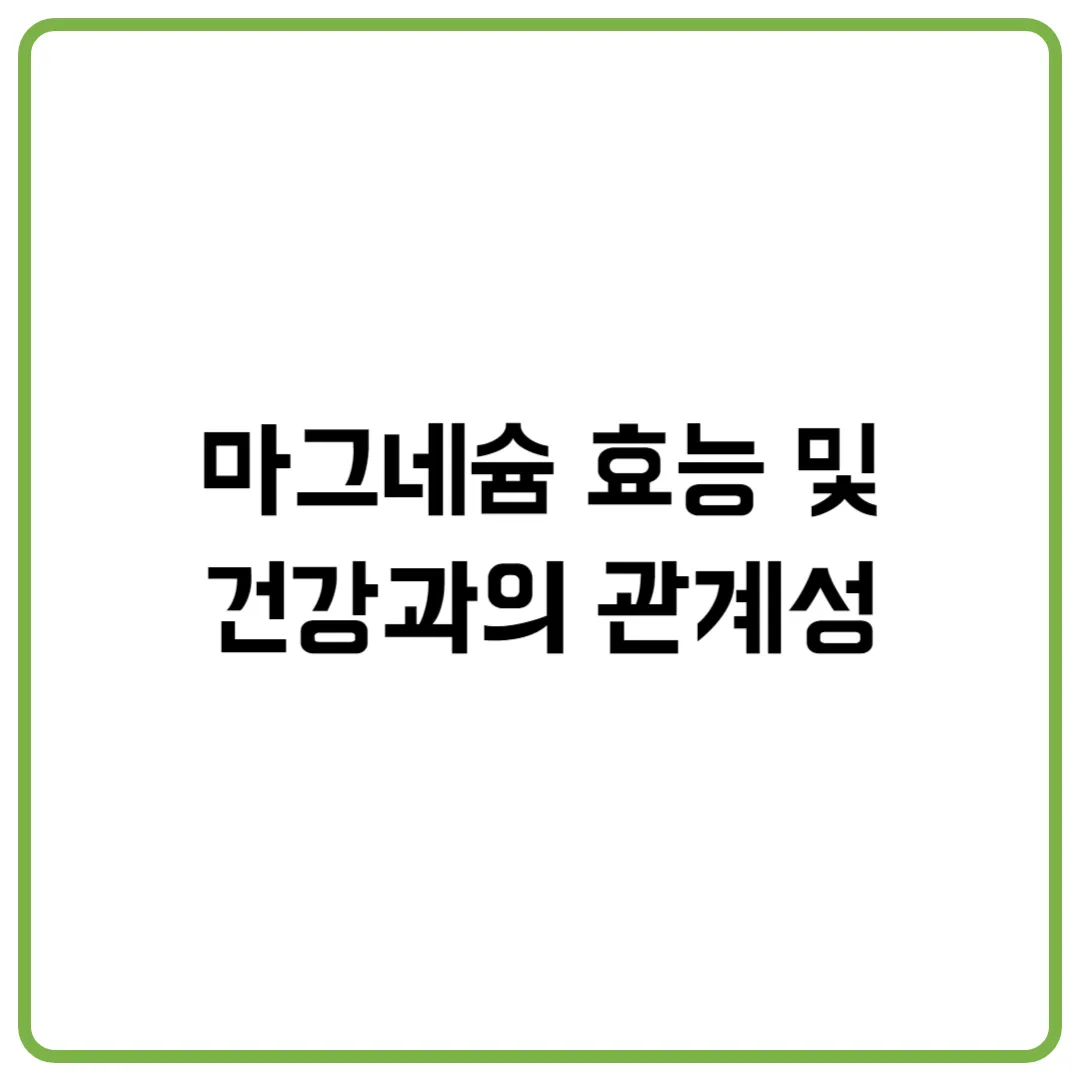 마그네슘 효능 및 건강과의 관계성